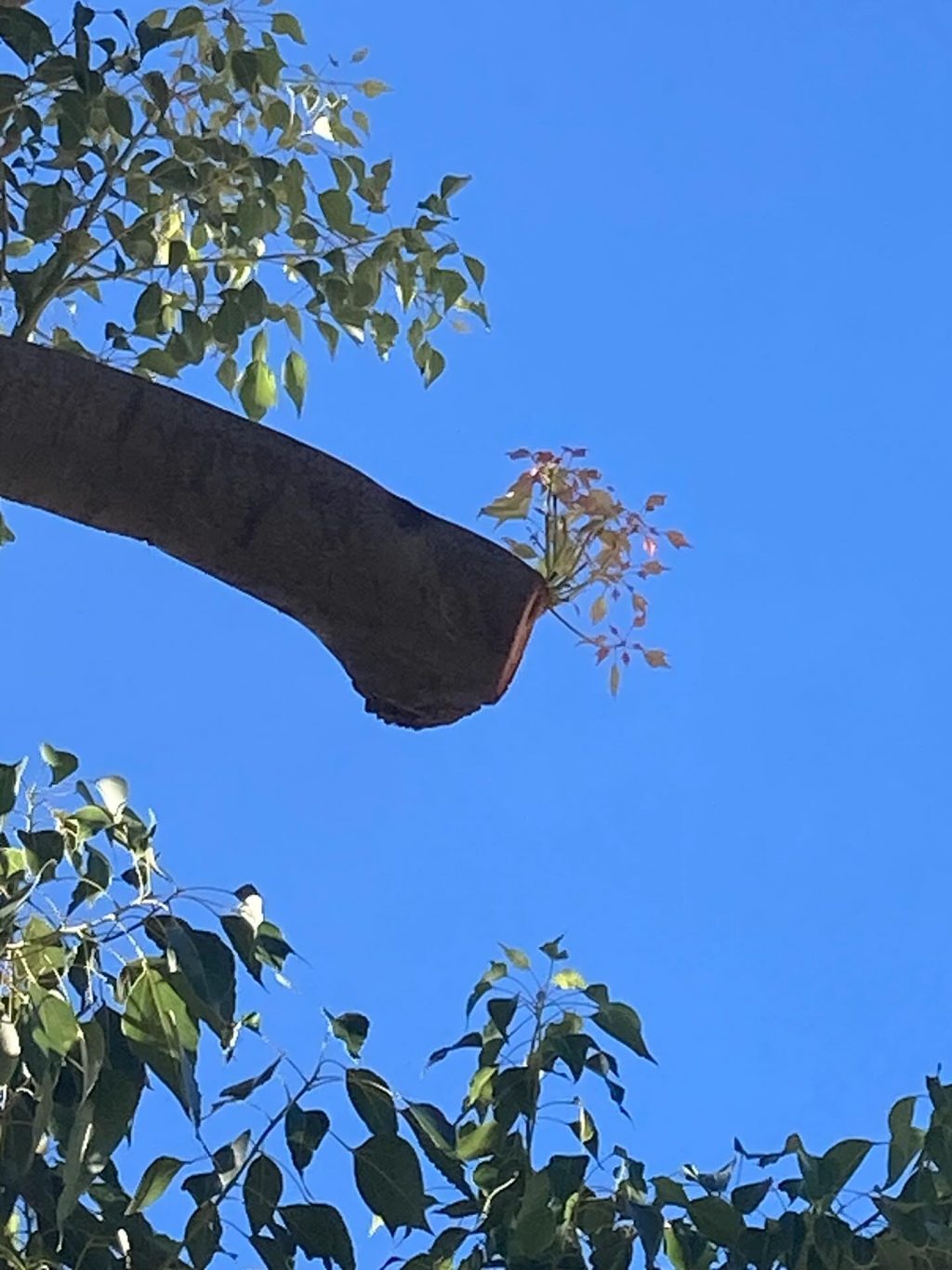 Instagram post from aishkonatn. This post is in position 3.