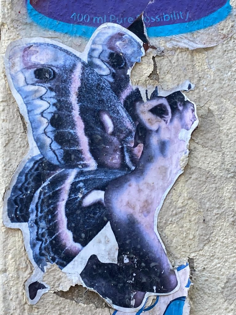 Instagram post from aishkonatn. This post is in position 2.