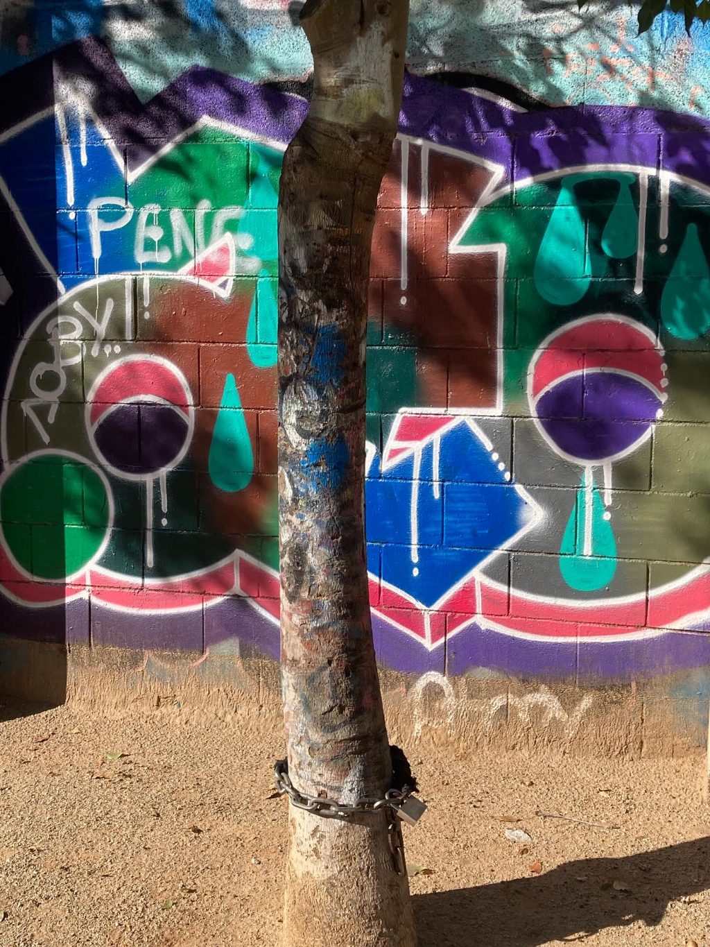 Instagram post from aishkonatn. This post is in position 5.